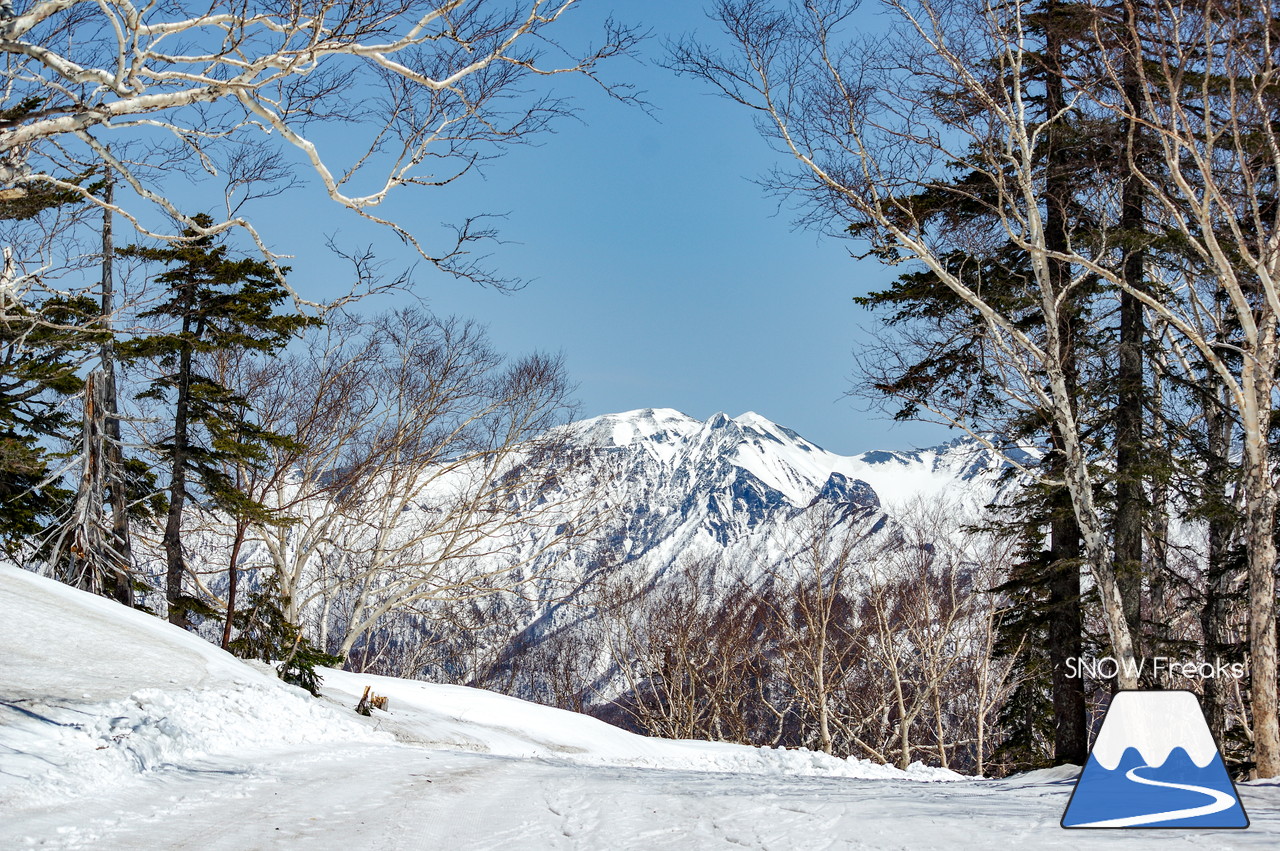 大雪山層雲峡黒岳ロープウェイスキー場　ゴールデンウィーク真っ只中！春スキーも、絶景も、そして、流しそうめんも(^▽^)/ 黒岳満喫の１日☆